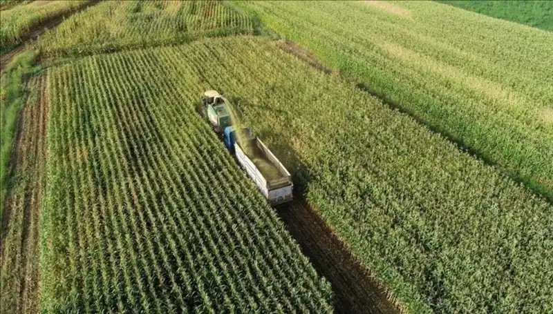 2025 Mart Ayı Mazot ve Gübre Desteği Ödemelerinde Son Durum Nedir?