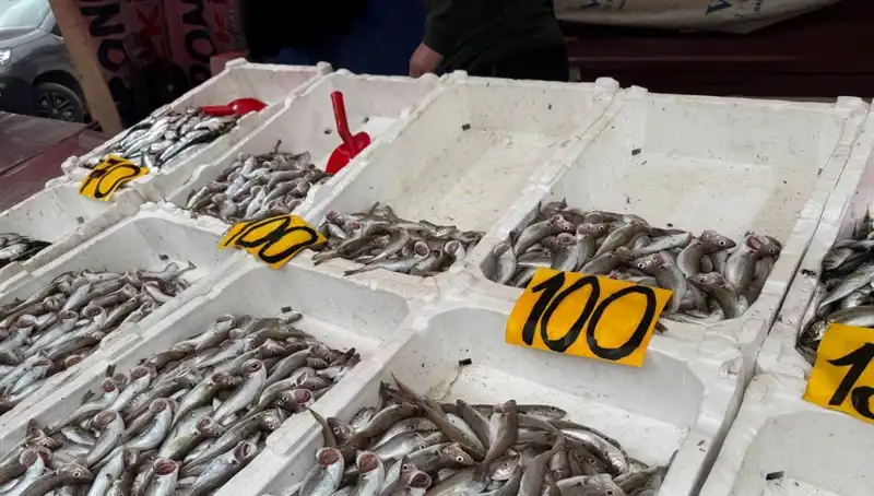 Balık Fiyatları Düşerken, Halka Ücretsiz Balık İkramı Yapıldı!